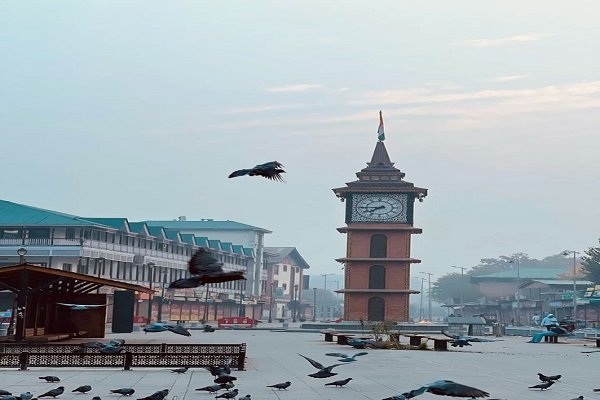 chandigarh to srinagar cabs